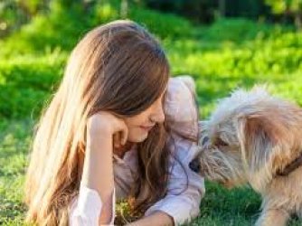 iria brincar com meu animalzinho